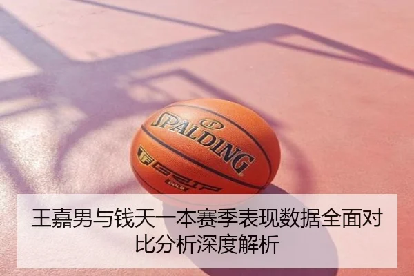 王嘉男与钱天一本赛季表现数据全面对比分析深度解析
